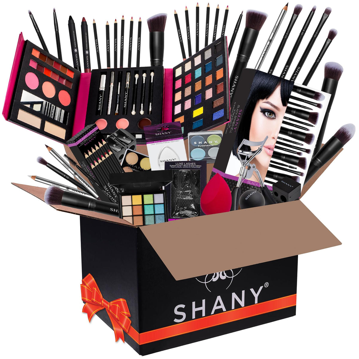 SHANY compact palette front view showing multiple color options and easy gifting