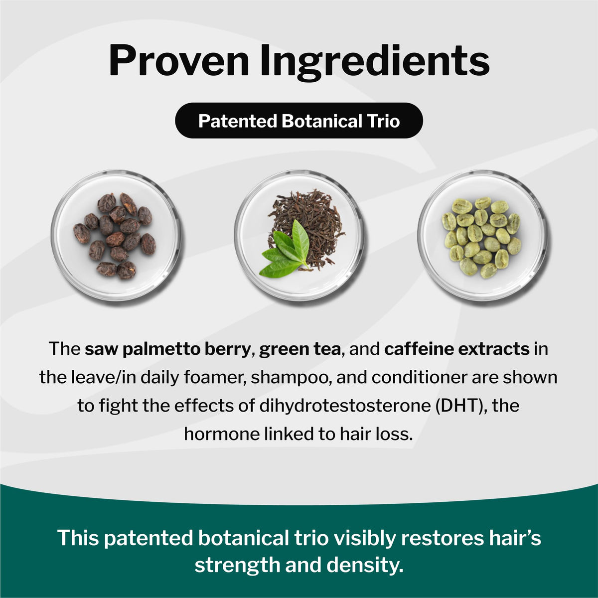 Shapiro MD shampoo lather texture demonstrating gentle cleansing and scalp comfort