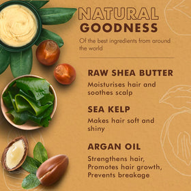 SheaMoisture Raw Shea Butter Sea Kelp and Argan Oil ingredients spotlight