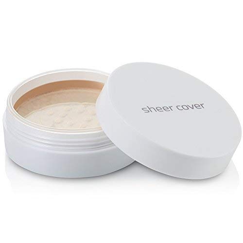 Sheer Cover open compact with foundation brush showing easy application