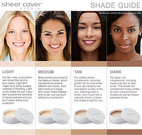 Sheer Cover brush applying powder for even coverage and airbrushed look