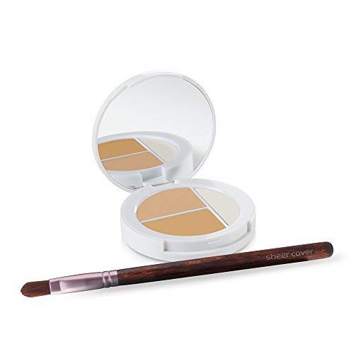 Sheer Cover front packaging showing compact trio and brush for convenient use
