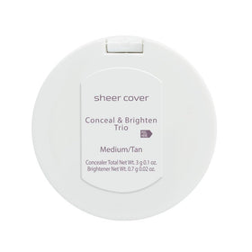 Sheer Cover swatches on skin showing blendable shades and brightening effect