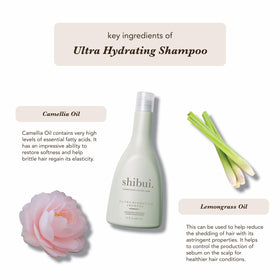Hand holding SHIBUI 12 fl oz bottle to show size and travel-friendly benefit