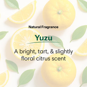 ShiKai label detail highlighting aloe vera and oatmeal natural ingredients benefit