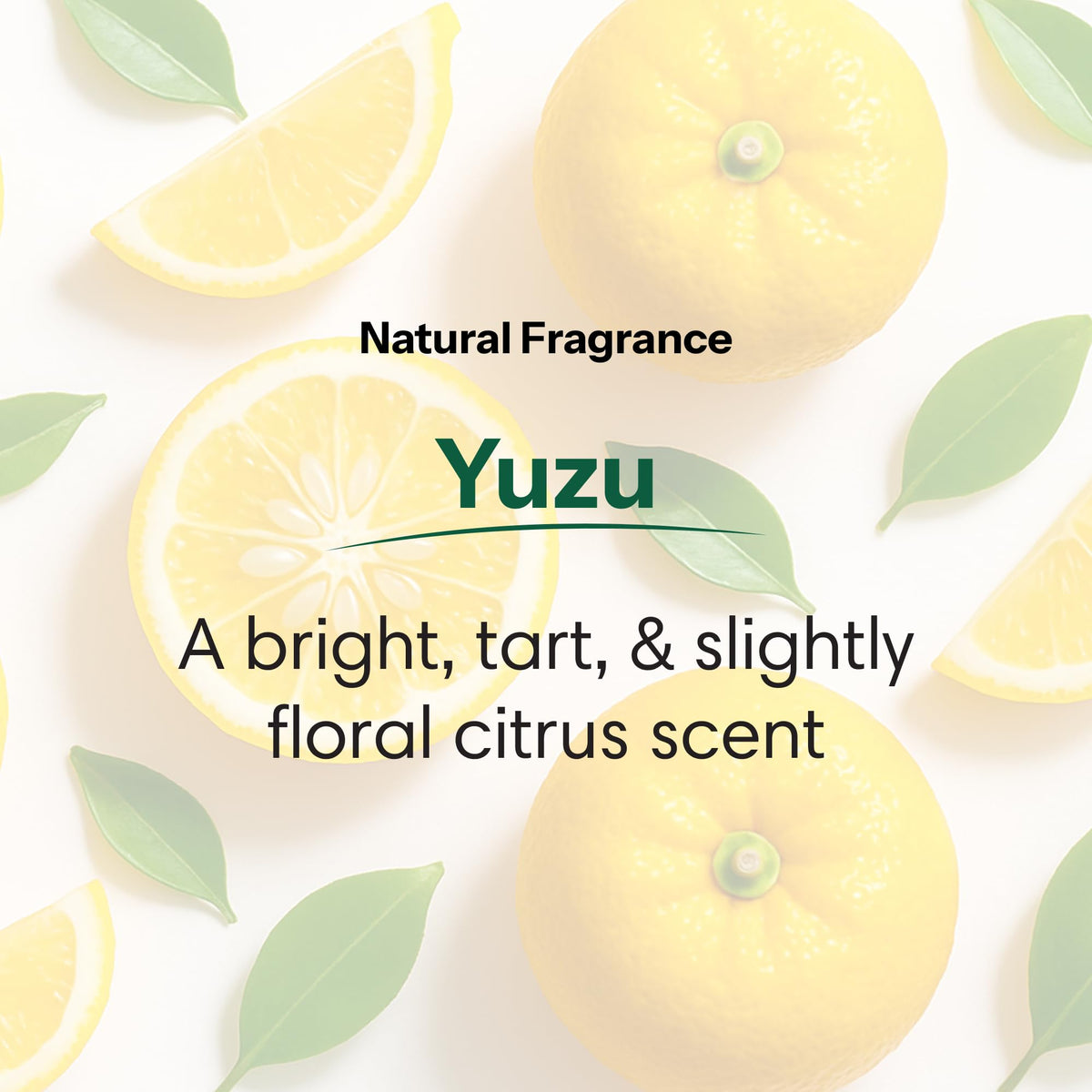 ShiKai gel lather texture demonstrating creamy foam and gentle cleanse