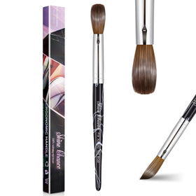 Shine Chance front packaging showing brush in protective box, highlights professional quality