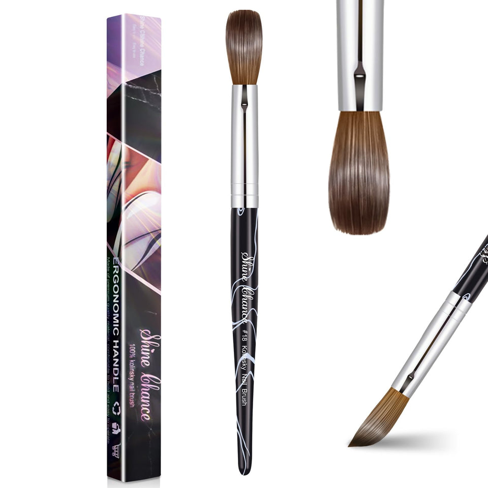 Shine Chance front packaging showing brush in protective box, highlights professional quality