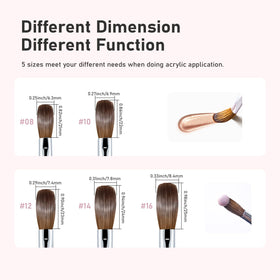 Shine Chance aluminum handle and brass ferrule detail for durable, comfortable grip