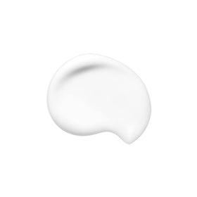 shiseido close-up of cream-to-powder texture, demonstrates soft-focus benefit