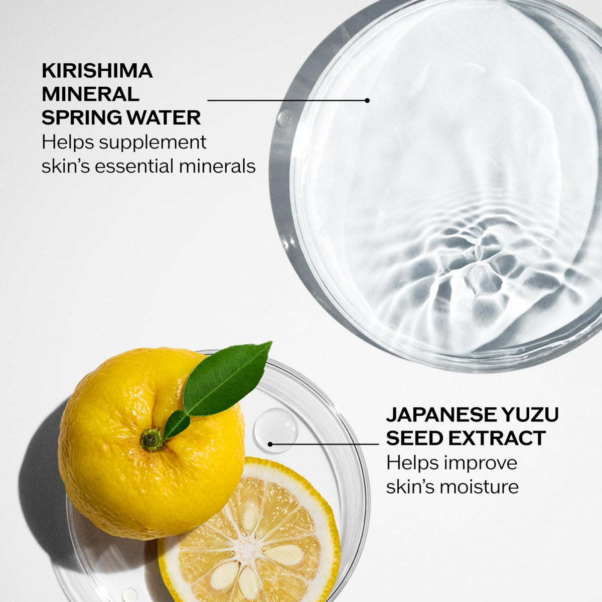 Shiseido softener texture on hand showing lightweight, hydrating consistency