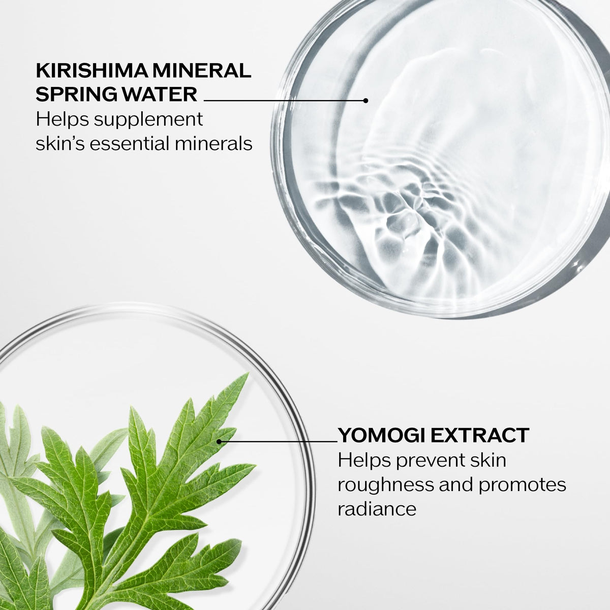 Texture shot of Shiseido softener fluid showing lightweight hydrating finish