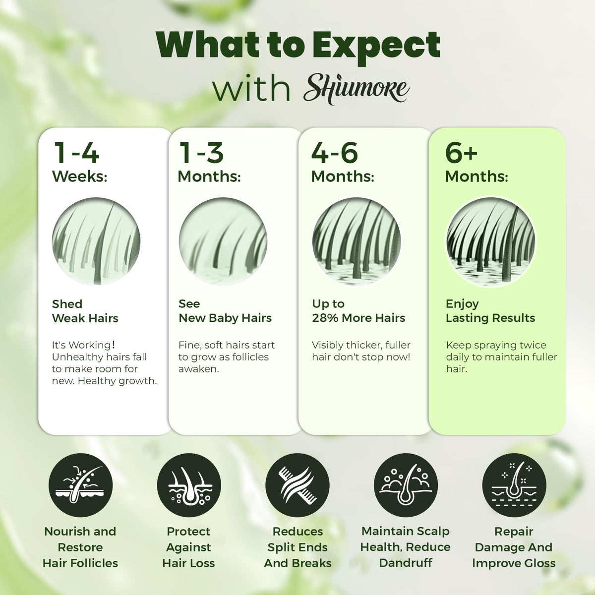 Person applying SHIUMORE to temple area targeting thinning hairline effectively
