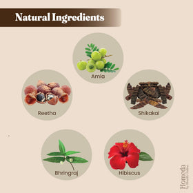 Shudh Online ingredient bowls with bhringraj hibiscus and reetha for natural cleansing