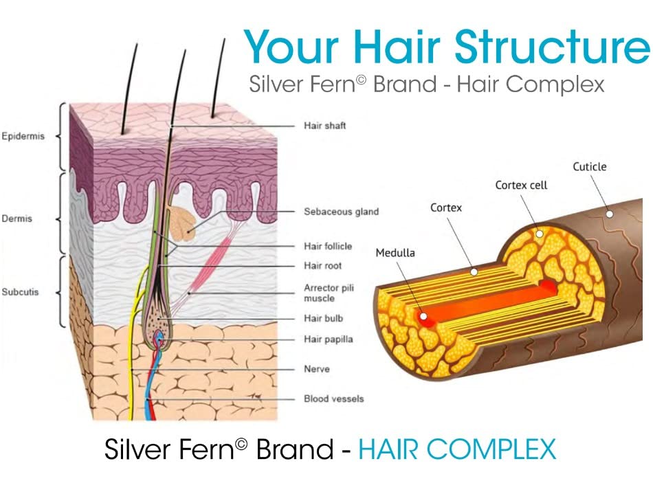 Silver Fern ingredient lineup highlighting keratin, sea buckthorn, bamboo