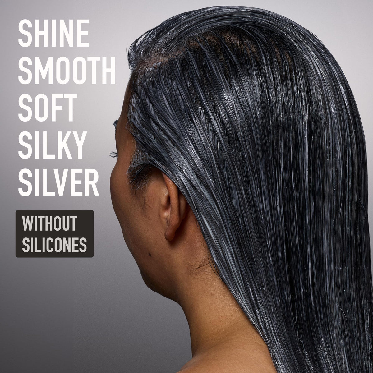 Silverist ingredients showing hyaluronic acid and rice protein benefits