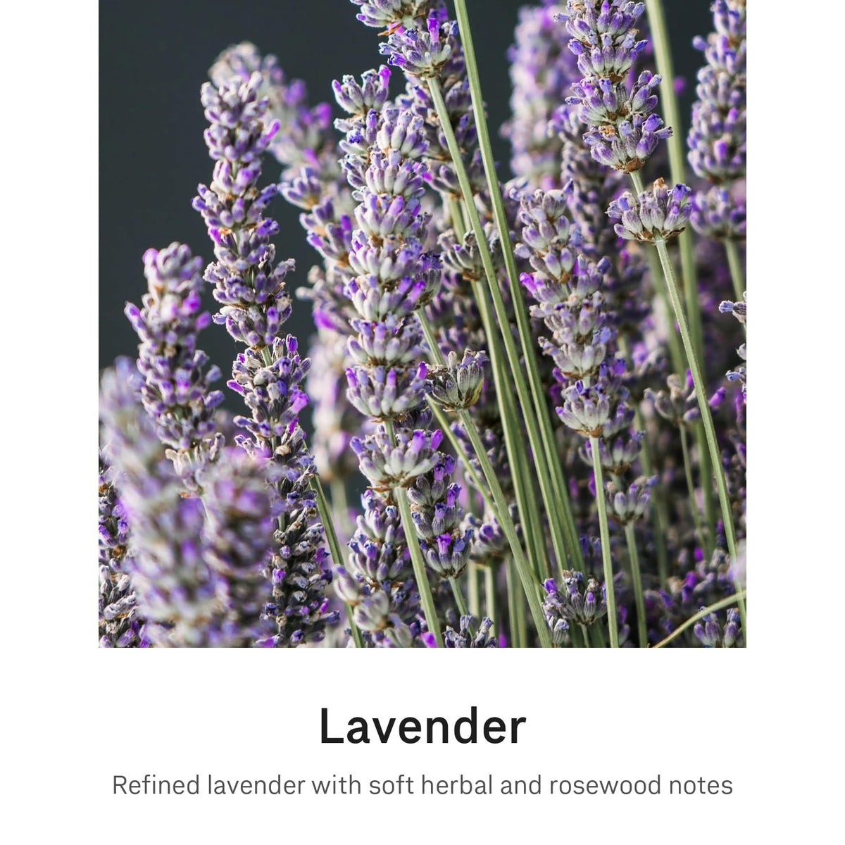 simplehuman sensor pump dispensing lavender soap hands-free for convenient hygienic benefit
