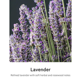 simplehuman sensor pump dispensing lavender soap hands-free for convenient hygienic benefit