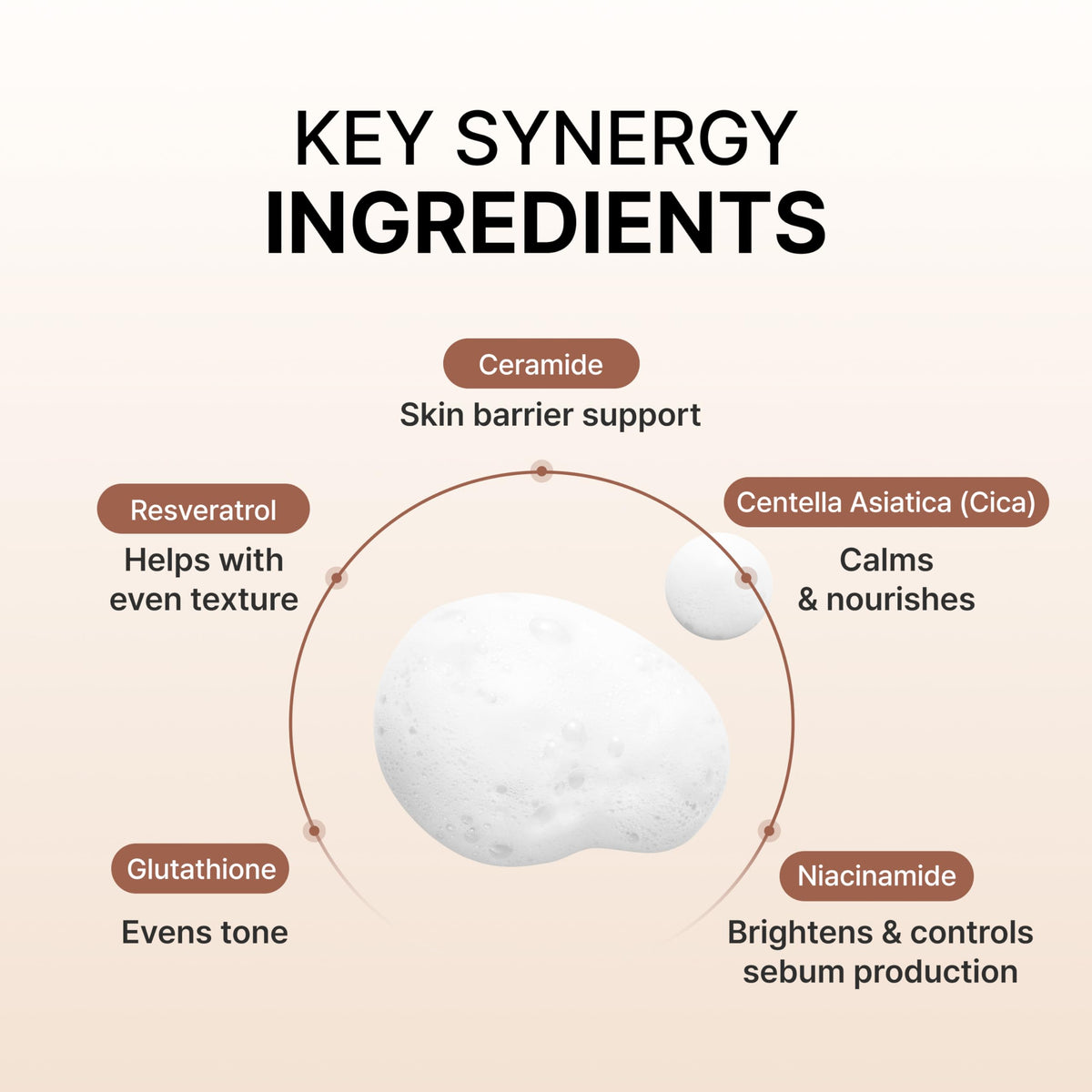 SIORÉ visual of ceramide and centella highlighting calming support