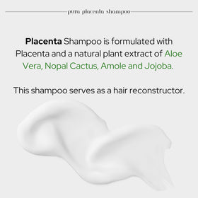 Skin Revolution shampoo lather in hand demonstrating rich foam and gentle cleansing benefit
