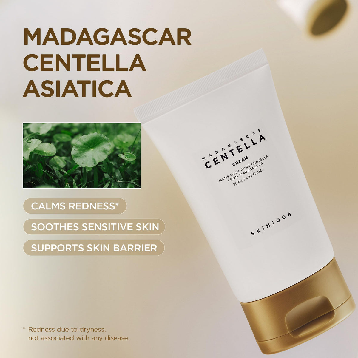 SKIN1004 ingredient display featuring centella leaves and natural oils