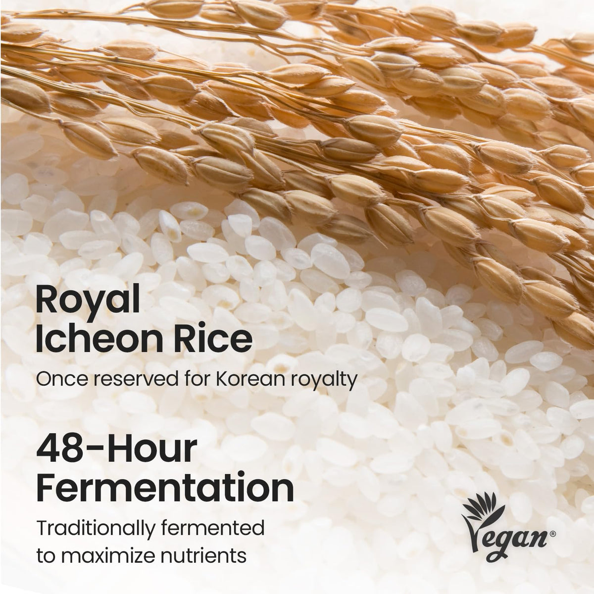 SKINFOOD 1957 patting remaining rice essence into skin to lock hydration
