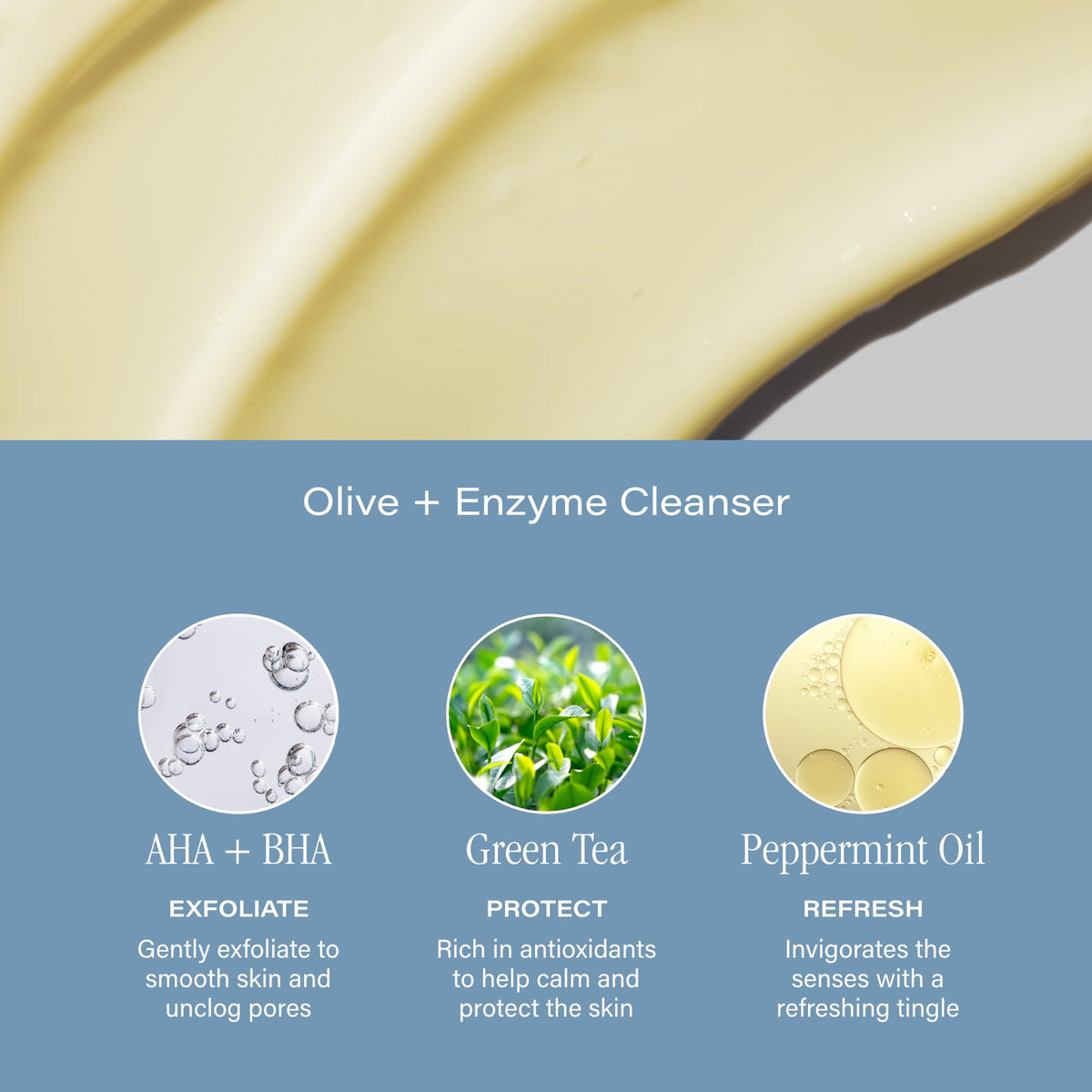 SKINN ingredients flatlay with green tea and mint emphasizing antioxidant benefits