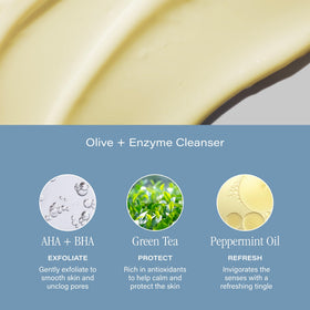 SKINN ingredients flatlay with green tea and mint emphasizing antioxidant benefits