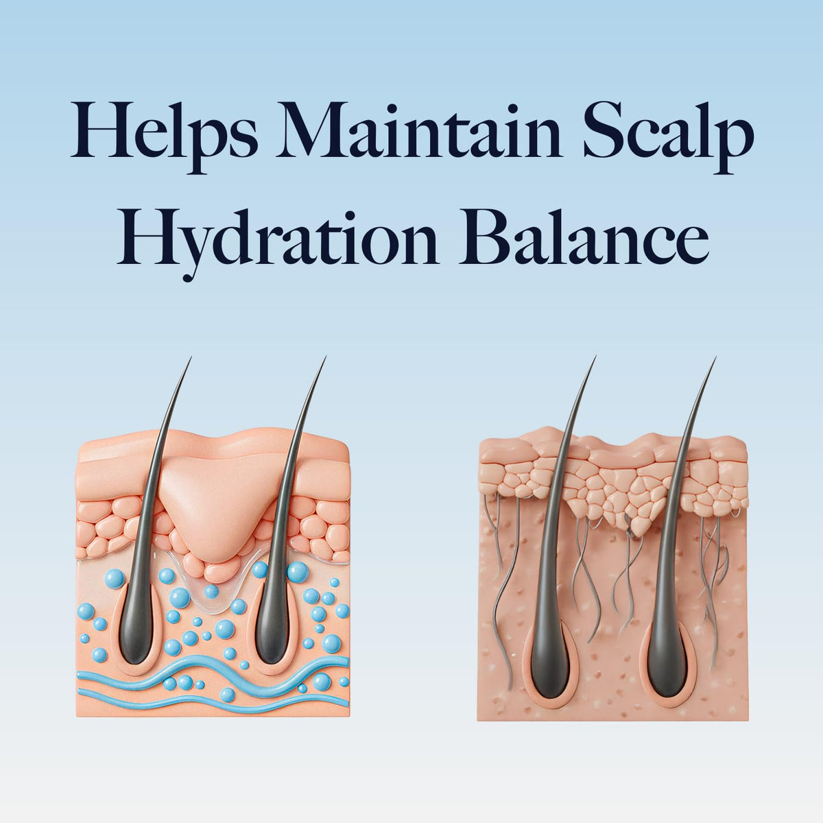 Sky and Sol application on curly hair demonstrating detangling benefit