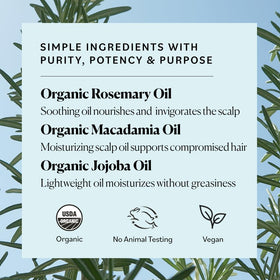 Sky Organics in-use massaging oil into scalp demonstrating soothing stimulation benefit