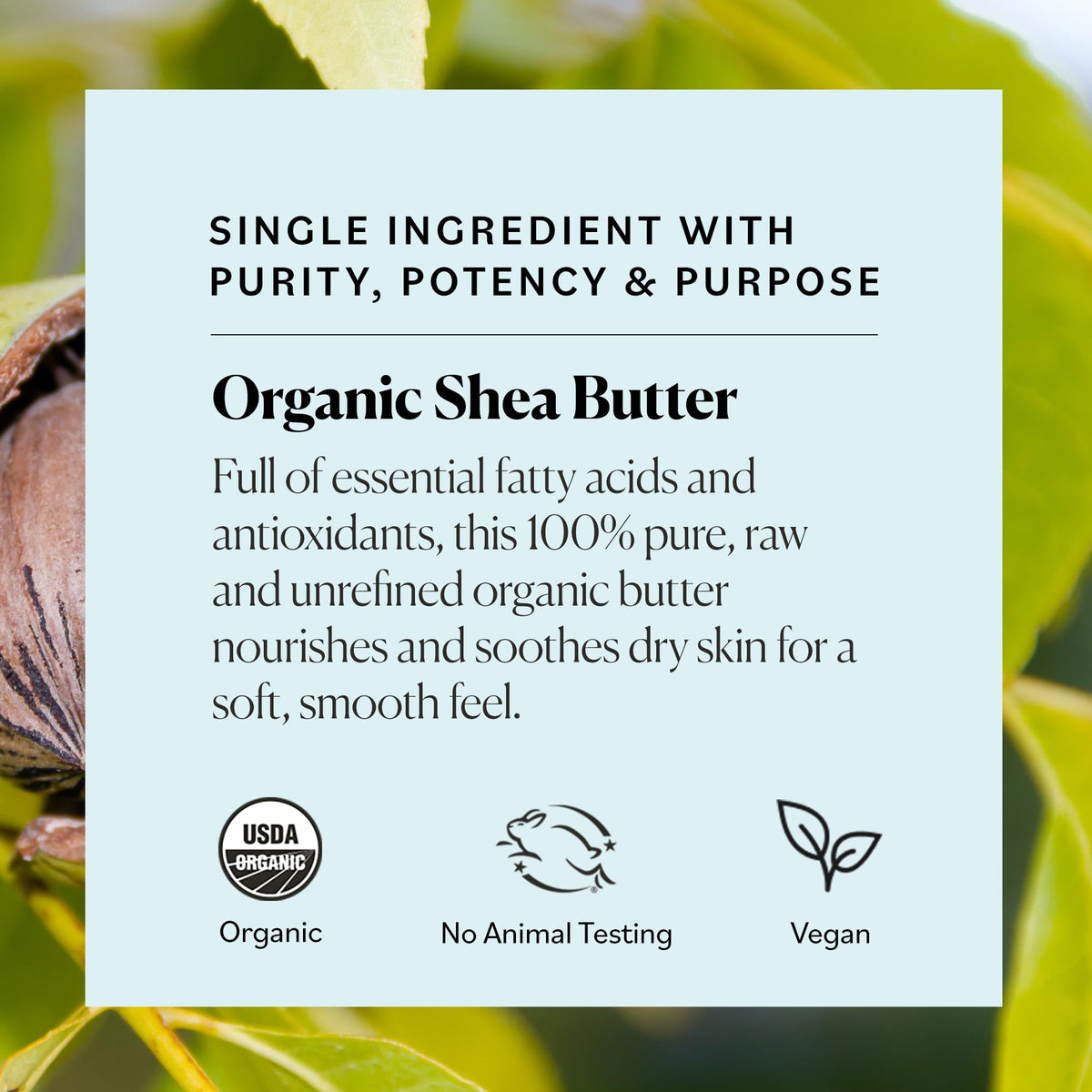 Sky Organics jar beside common items for scale to show 15 oz quantity benefit