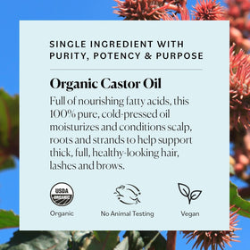 Sky Organics castor oil texture on fingertip showing viscous, nourishing consistency