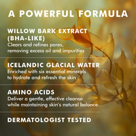 skyn ICELAND white willow bark detail highlighting pore-clearing botanical benefit