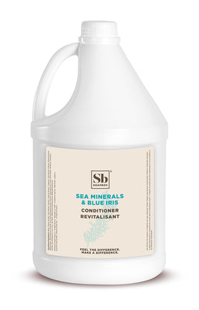 Soapbox sea minerals blue iris gallon front view showing clean design and guest-ready size