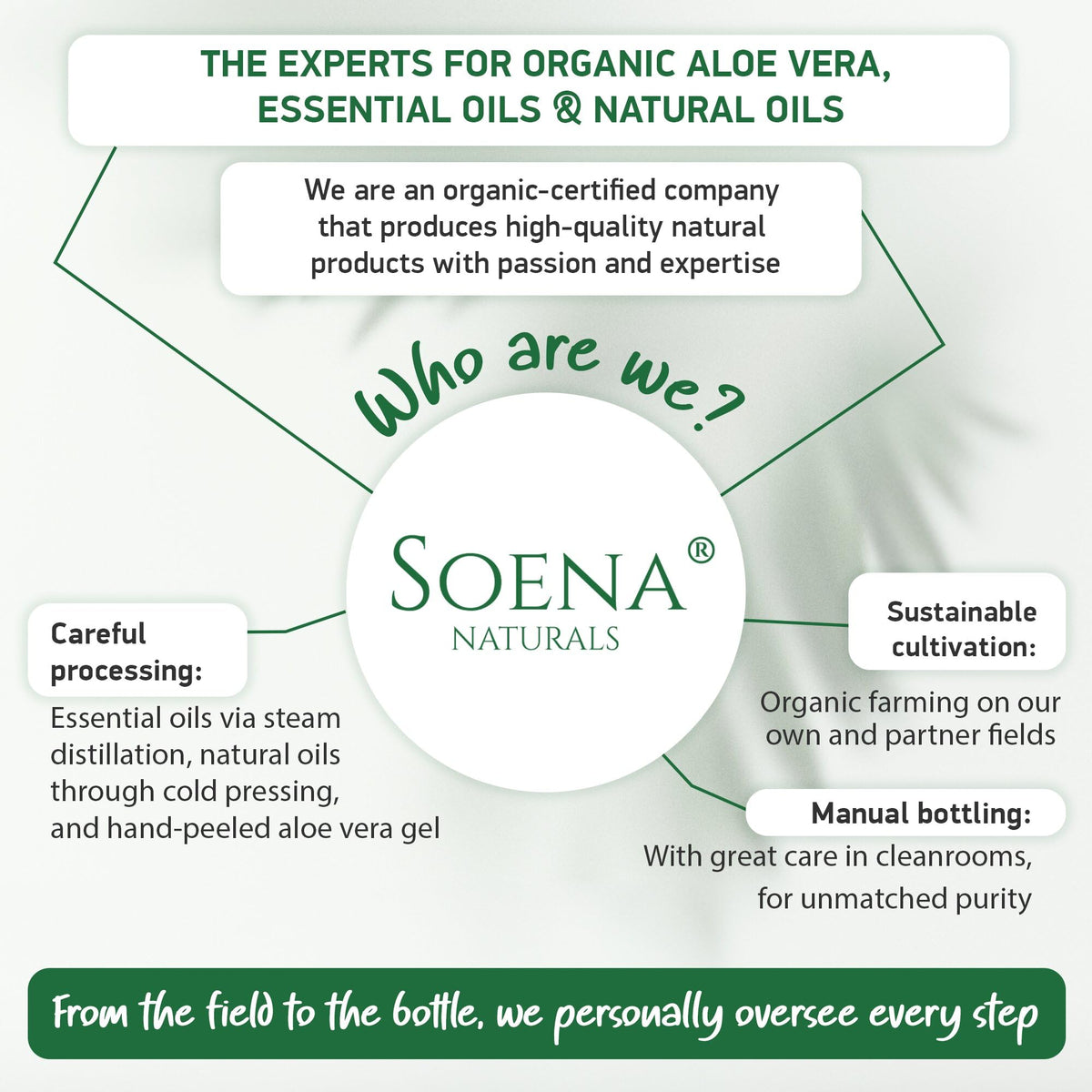 Soena worked into hair for light hold and frizz control benefit