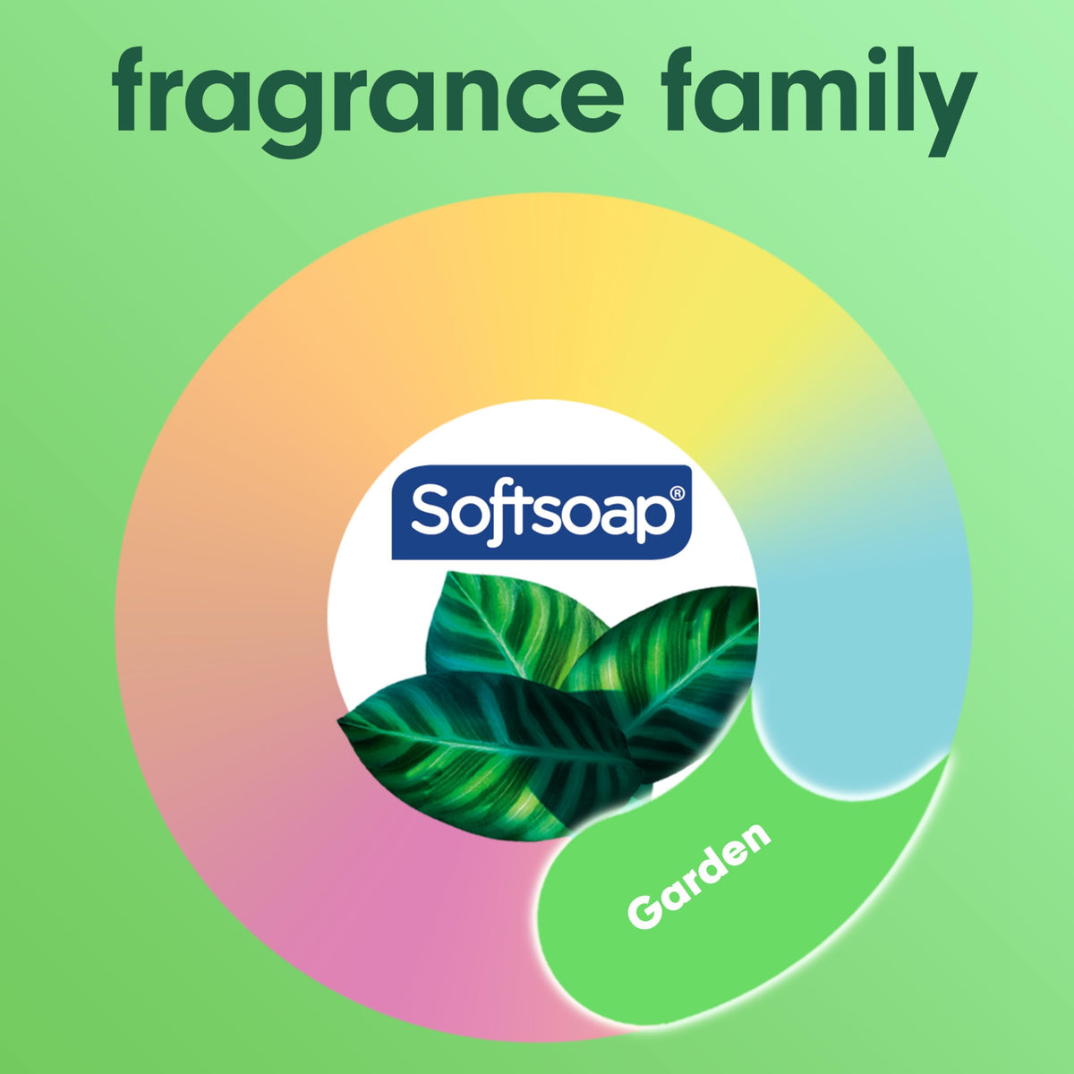 Softsoap bottles arranged on bathroom shelf conveying organized storage
