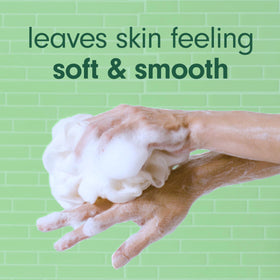 Softsoap label detail showing eucalyptus and mint scent and joyful design