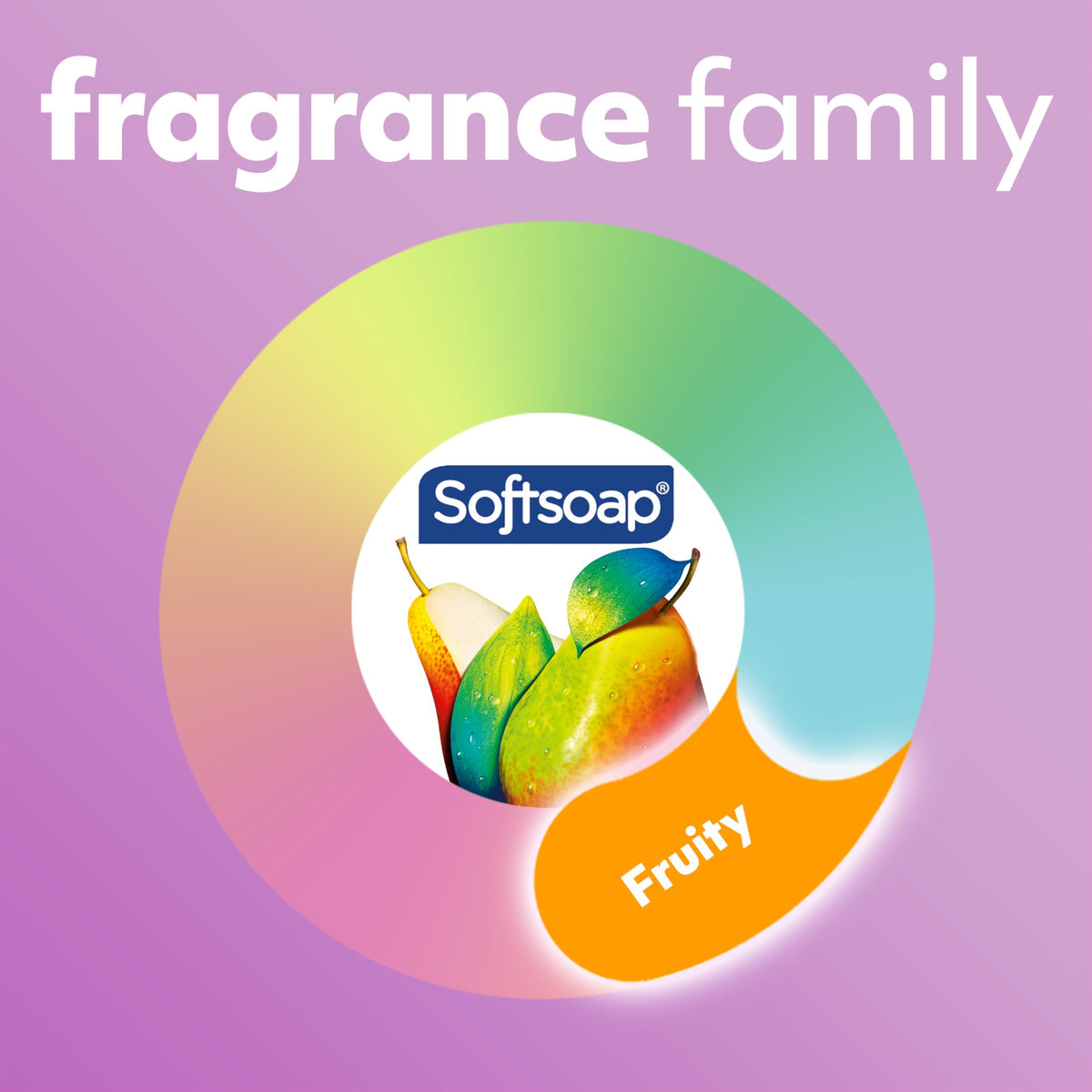 Softsoap six-pack boxed view indicating bulk value and home supply
