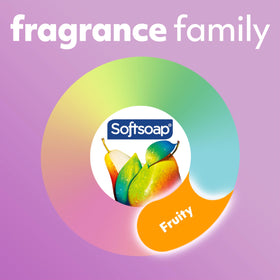 Softsoap six-pack boxed view indicating bulk value and home supply
