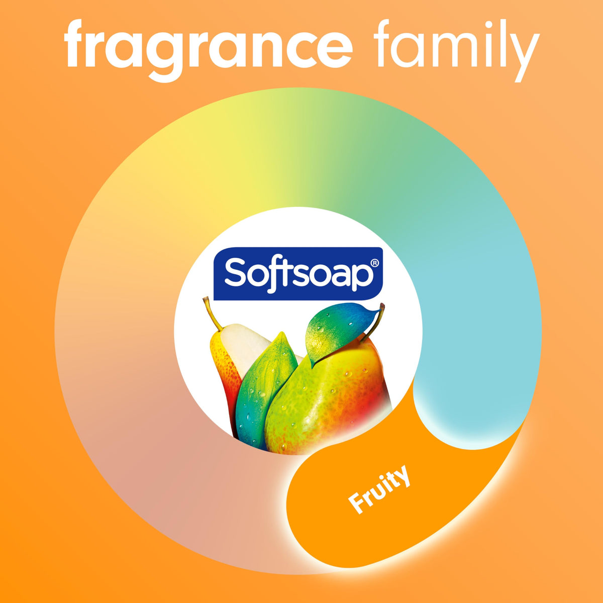 Six-pack of Softsoap bottles boxed for bulk storage and multi-sink use