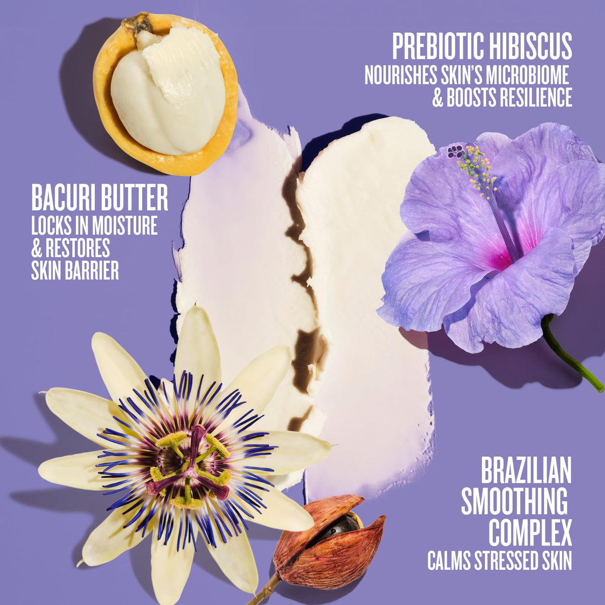 Sol de Janeiro bacuri butter ingredient visual emphasizing moisturizing and barrier support