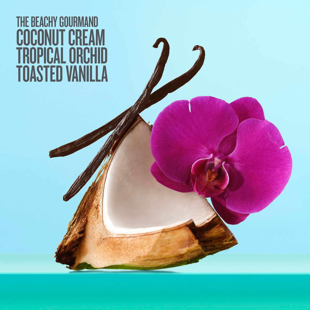 Sol de Janeiro ingredient focus on coconut milk and buriti oil for nourishment