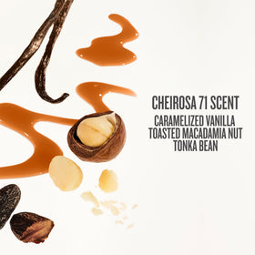Sol de Janeiro ingredients flatlay with macadamia and tonka themed benefit