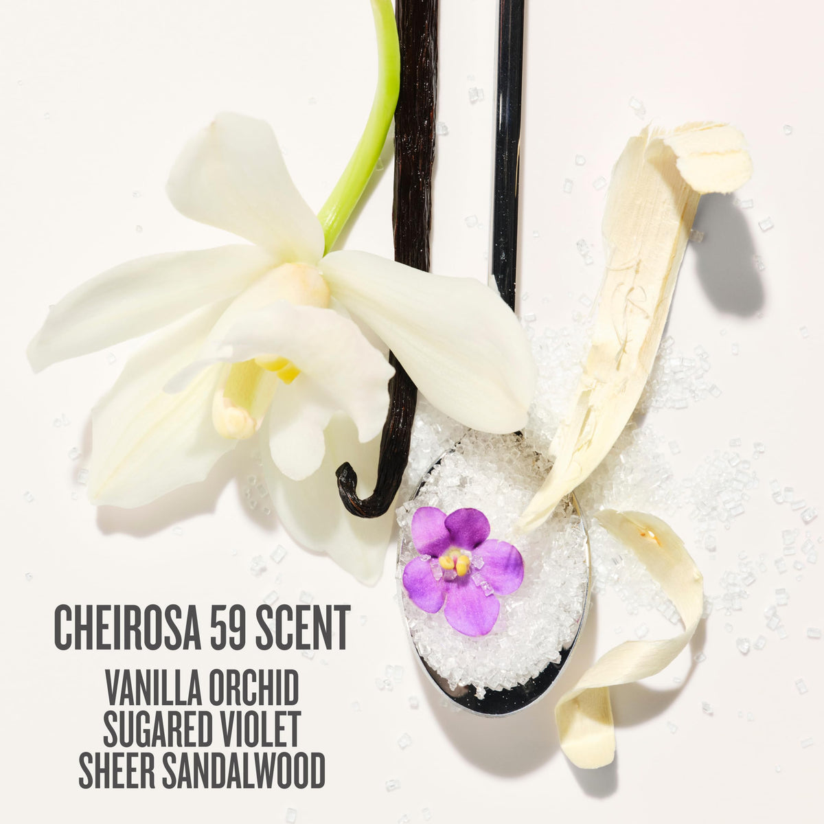 Sol de Janeiro ingredients display with andiroba, bacuri, hibiscus highlighting nourishment