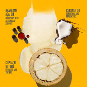 Sol de Janeiro cupuaçu butter ingredient mound showing hydration source and protection