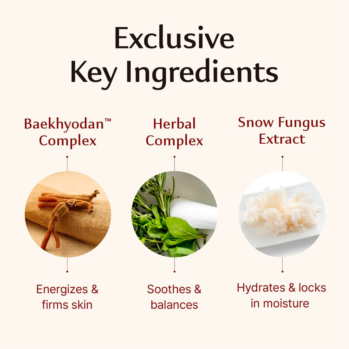 sooryehan wild ginseng root display highlighting natural extract benefit for revitalization