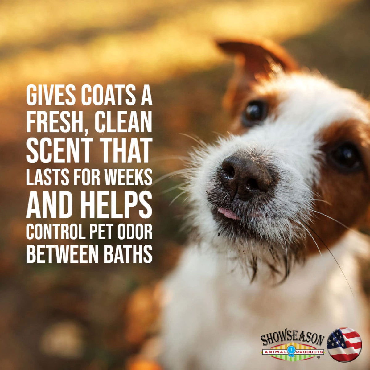 Showseason South Bark conditioner applied during dog bath to improve coat manageability