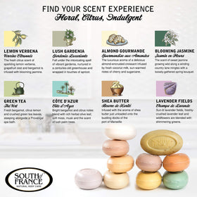 South Of France label and ingredients view showing clear product information