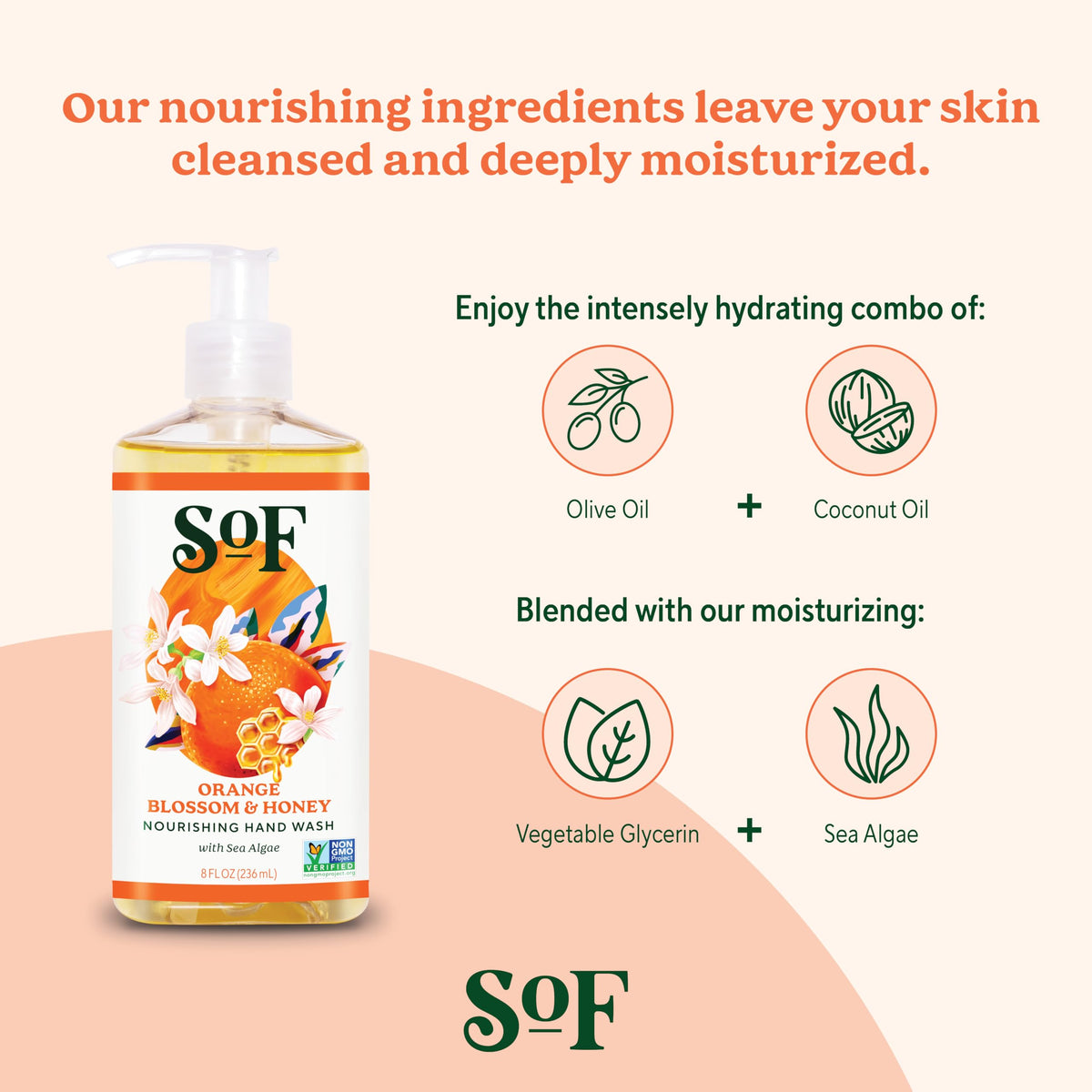 South Of France ingredients collage with sea algae coconut and olive oils highlighting natural hydration