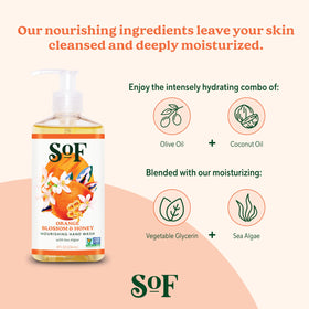 South Of France ingredients collage with sea algae coconut and olive oils highlighting natural hydration